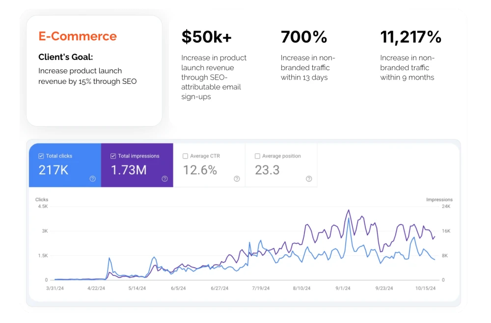 eCommerce SEO Case Studies